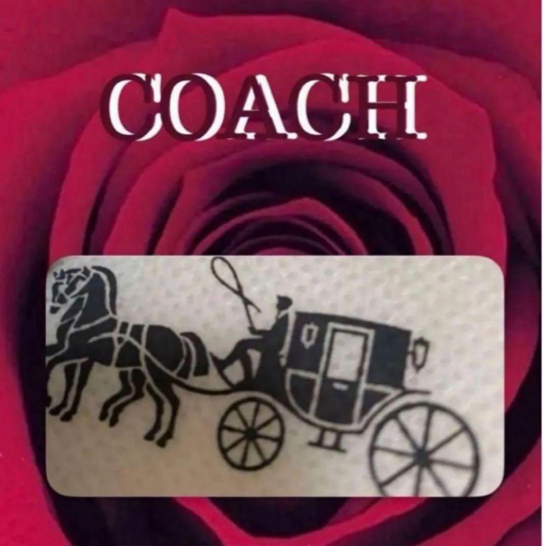 COACH長財布レインボーマルチカラーシグネチャーホワイト.白ストラップ付.新品