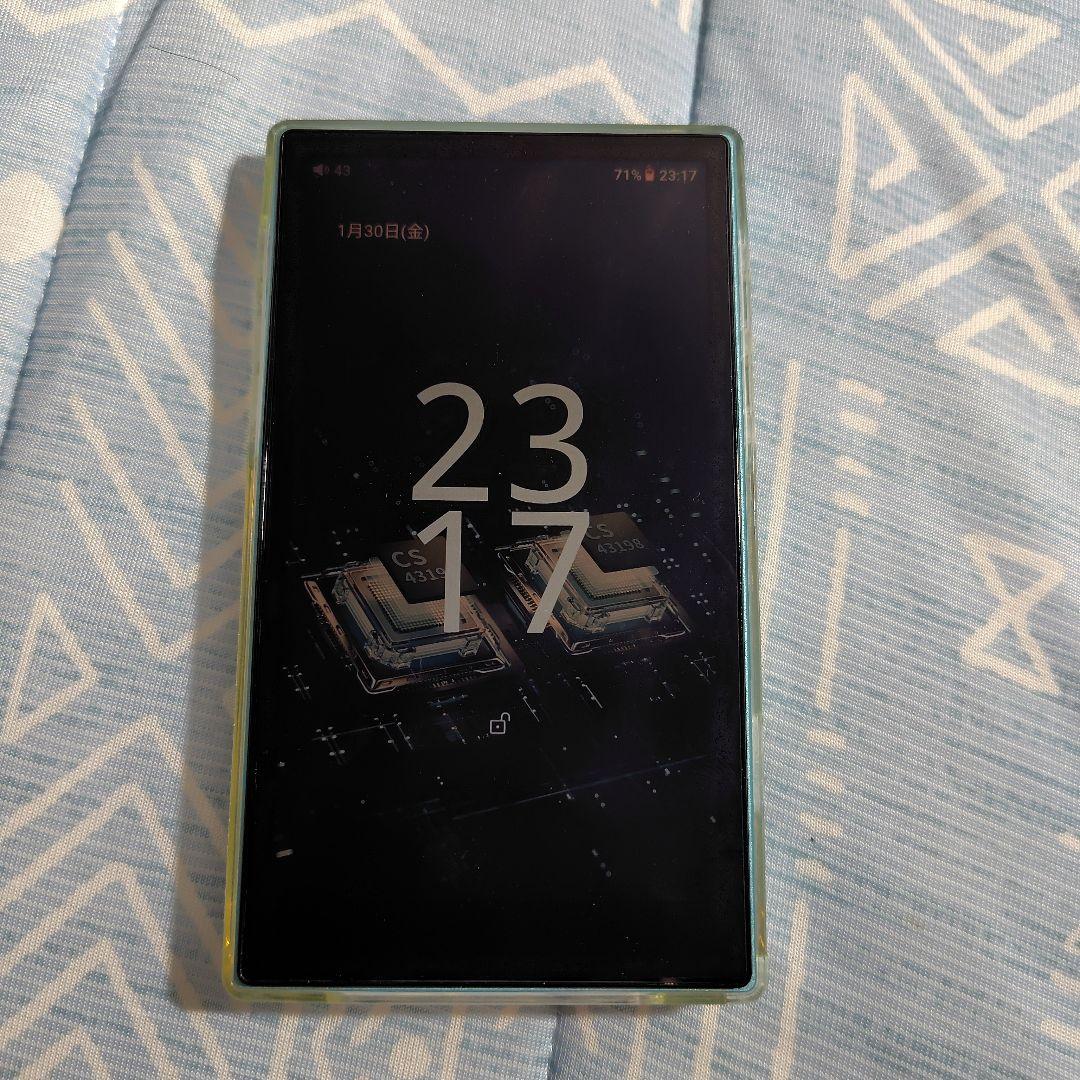 fiio jm21 旧モデル　本体のみ　純正ケースつき