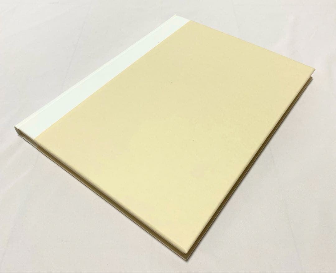 【値下げ】 巴里とセーヌ (日本写真史の至宝)