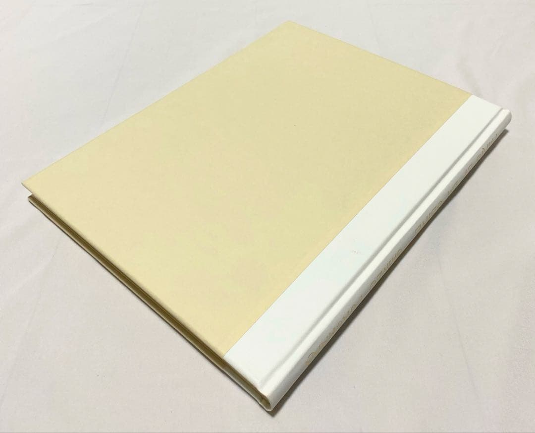 【値下げ】 巴里とセーヌ (日本写真史の至宝)