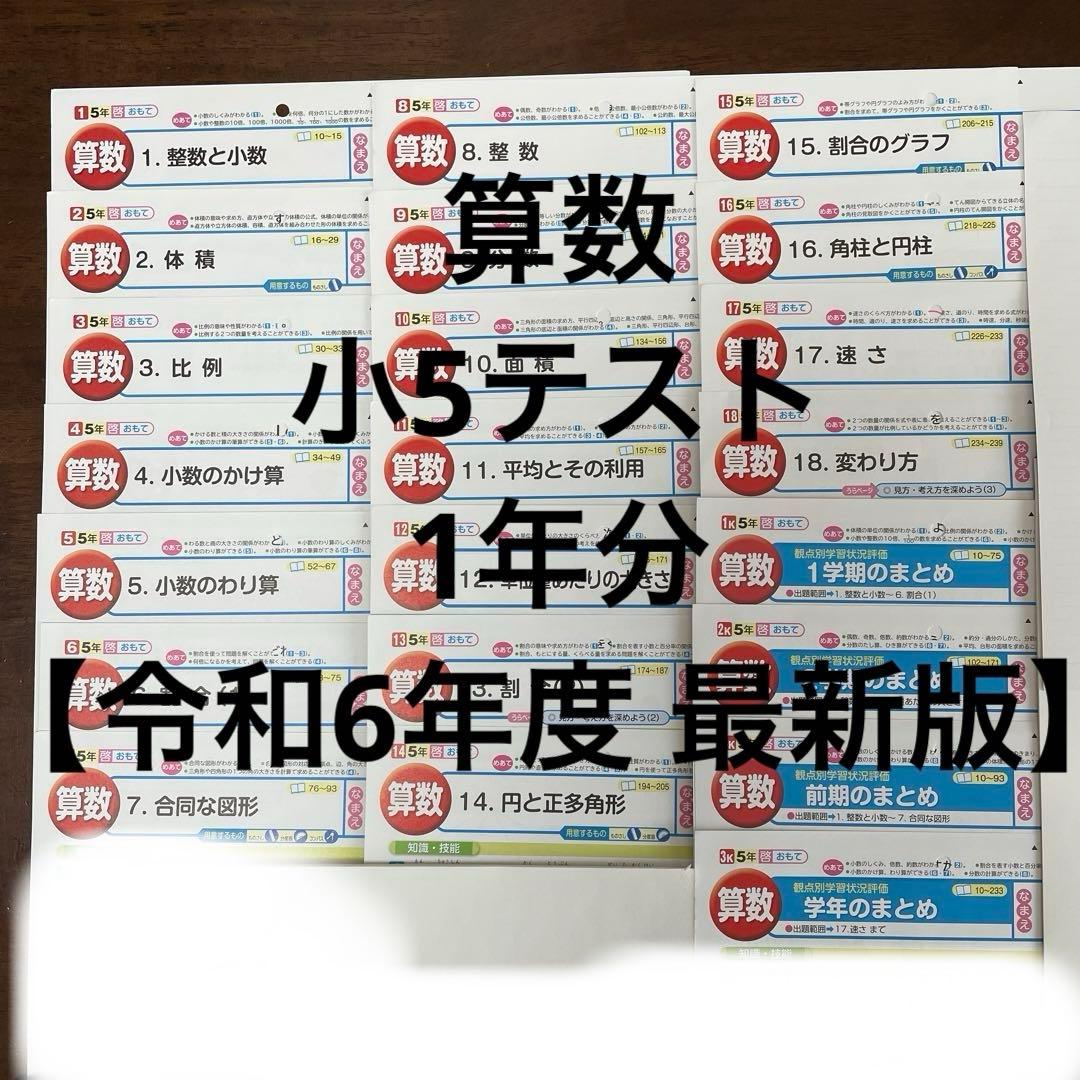 【最新版】小学5年　算数　カラーテスト　令和6年度　１年分