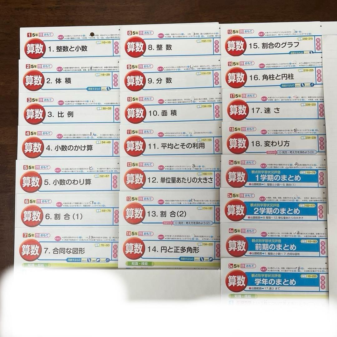 【最新版】小学5年　算数　カラーテスト　令和6年度　１年分