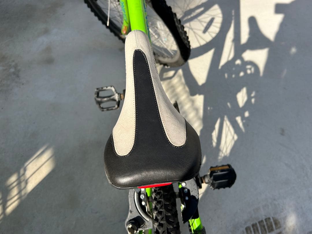 LOUIS GARNEAU ジュニアマウンテンバイク グリーン　J22(手渡し)