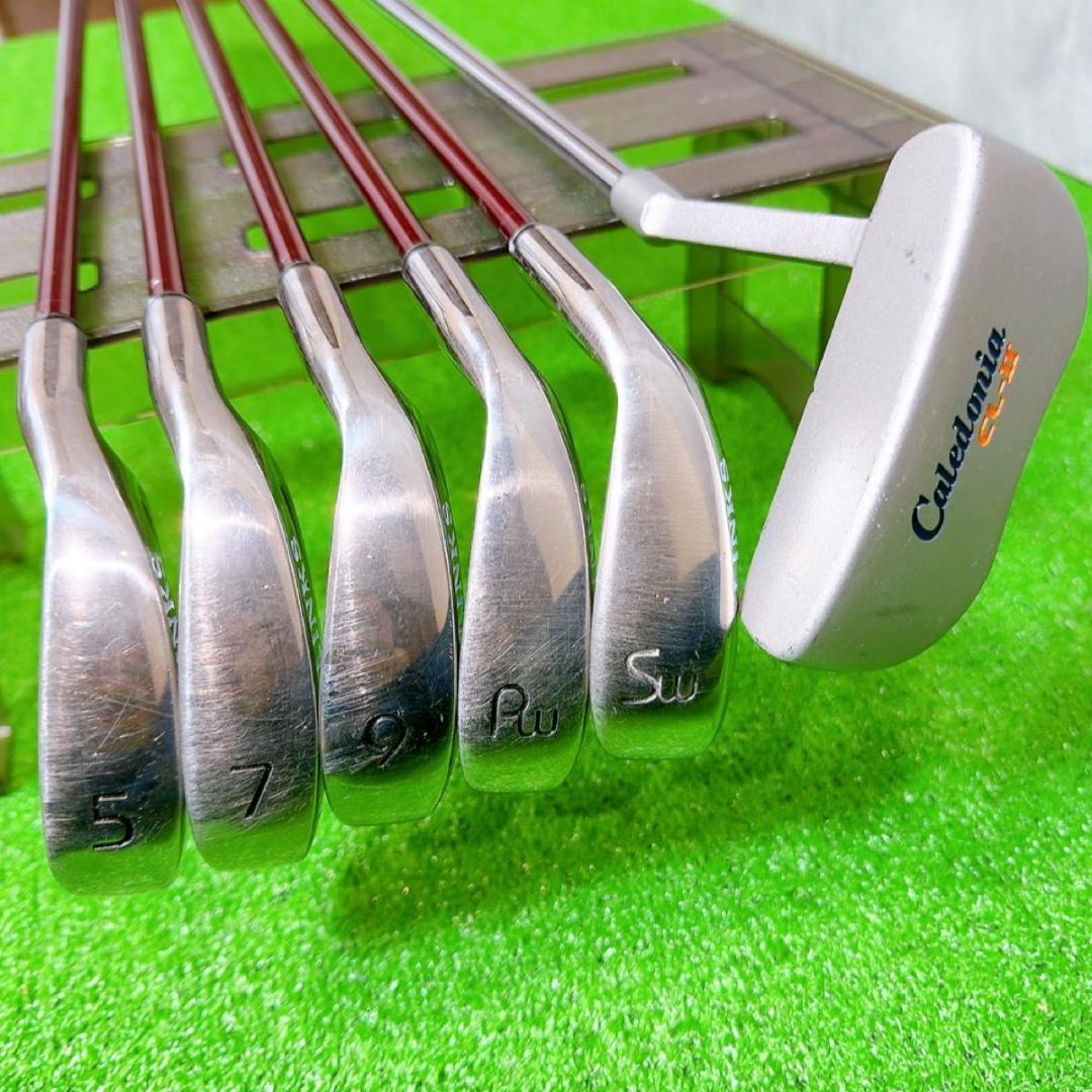 レディース ゴルフクラブセット LINKS SAF-601L 9本 初心者