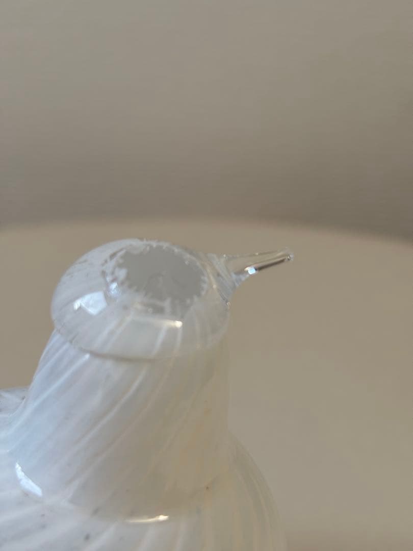 イッタラバード　 BABY WILLOW GROUSE