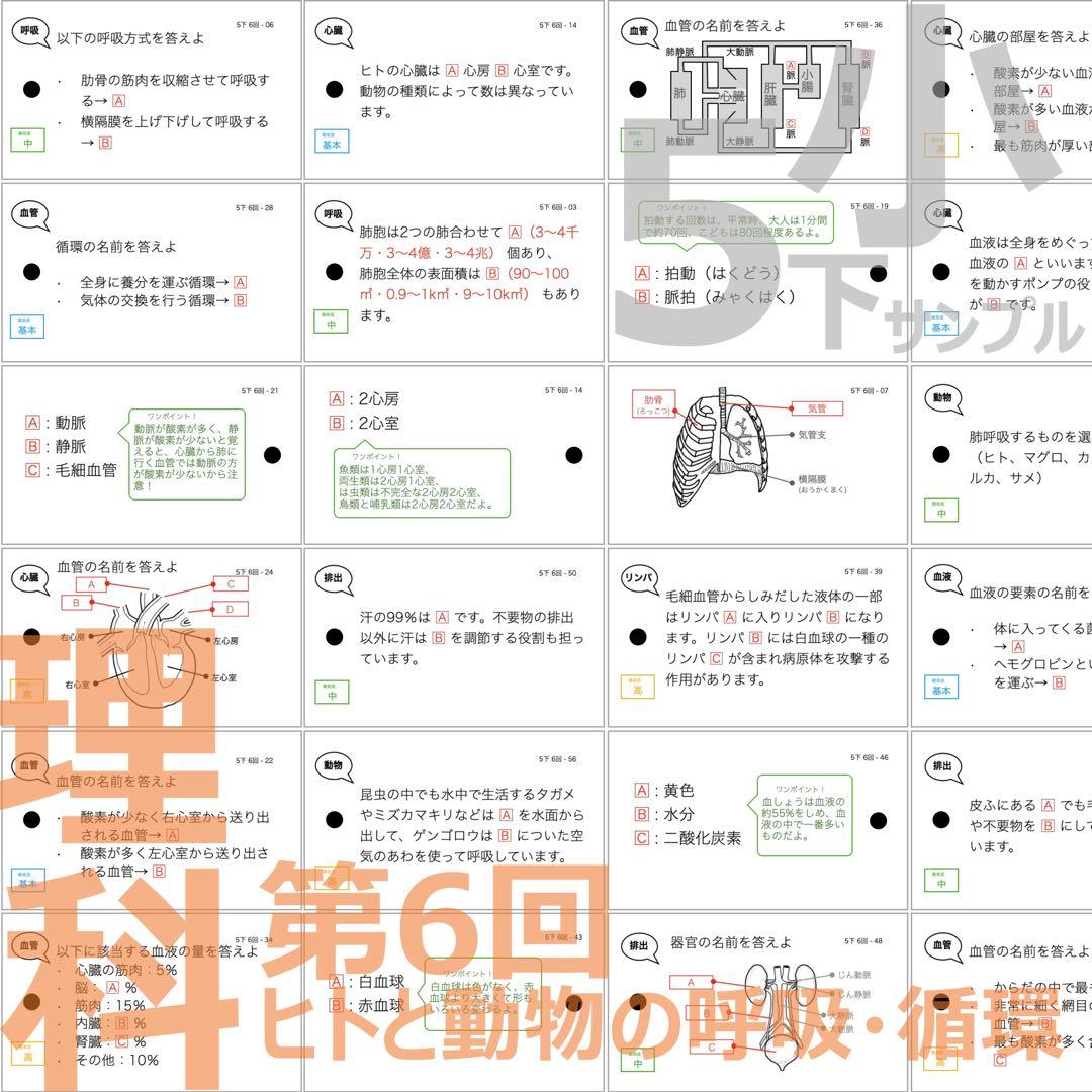 中学受験 暗記カード【5年下 理科全セット 1-18回】予シリ 組分けテスト