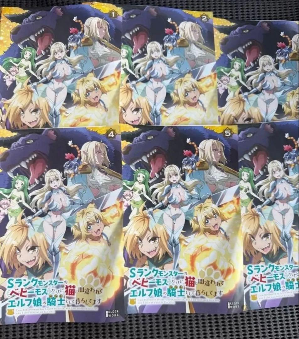 Sランクモンスターのベヒーモスだけど猫と間違われてエルフ娘の騎士として DVD