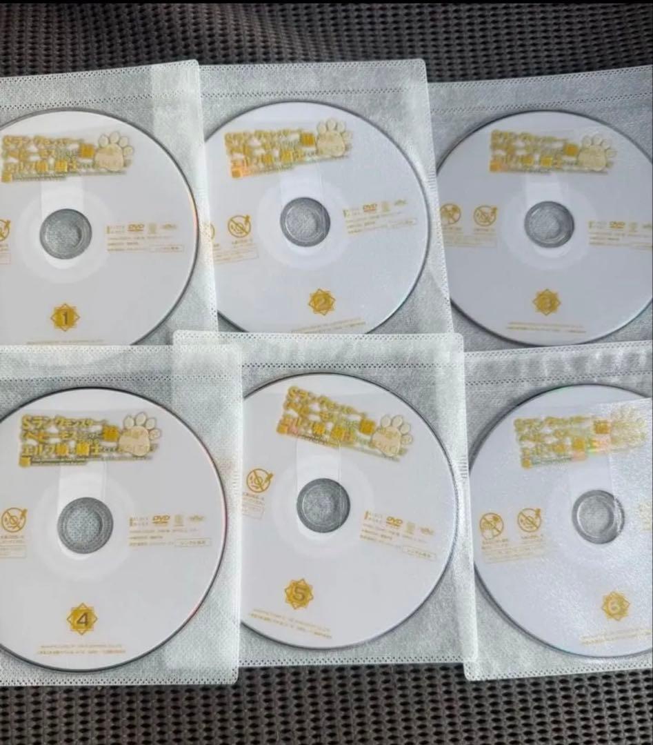 Sランクモンスターのベヒーモスだけど猫と間違われてエルフ娘の騎士として DVD