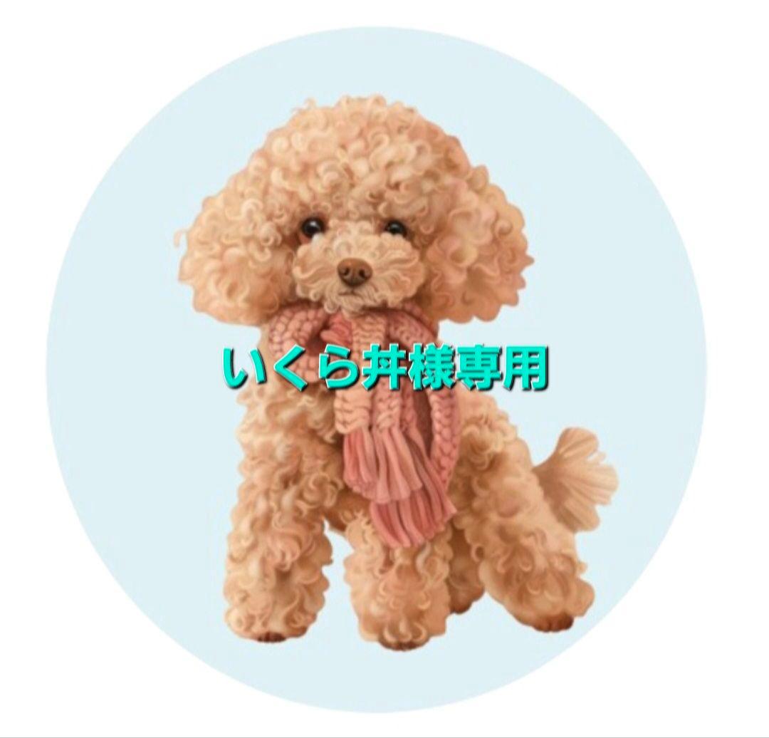 いくら丼ゆうゆうメルカリ便☆iQOSイルマワンデコケース量産型No.141