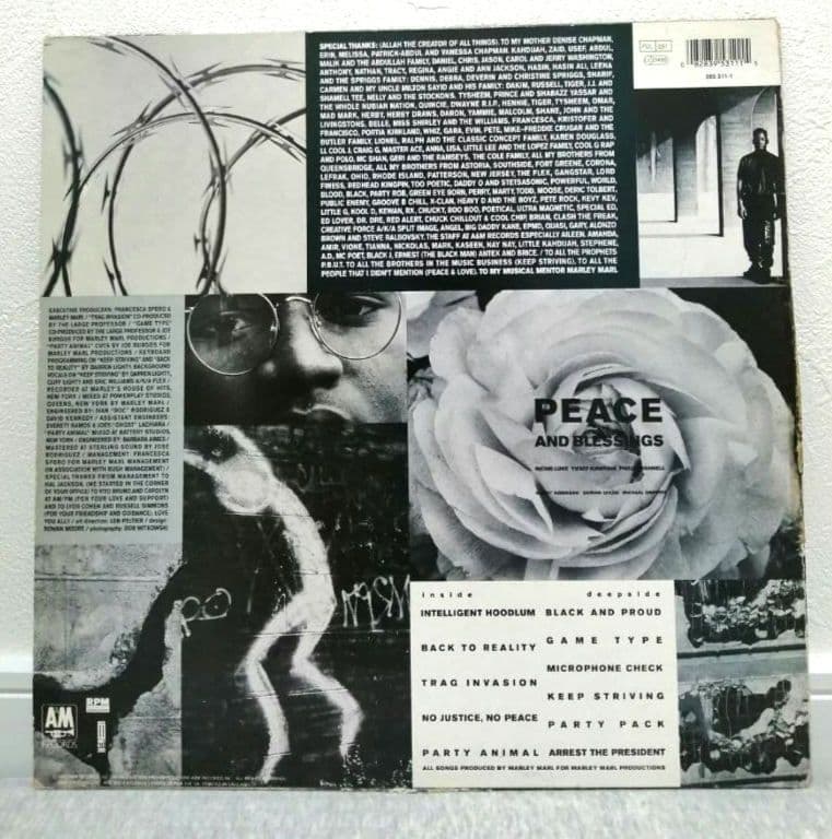 洋楽 Intelligent Hoodlum a.k.aTragedy 1st LP