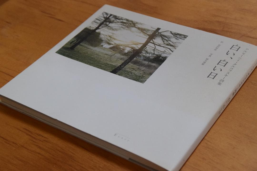 アルセーニイ・タルコフスキー詩集 『白い、白い日』