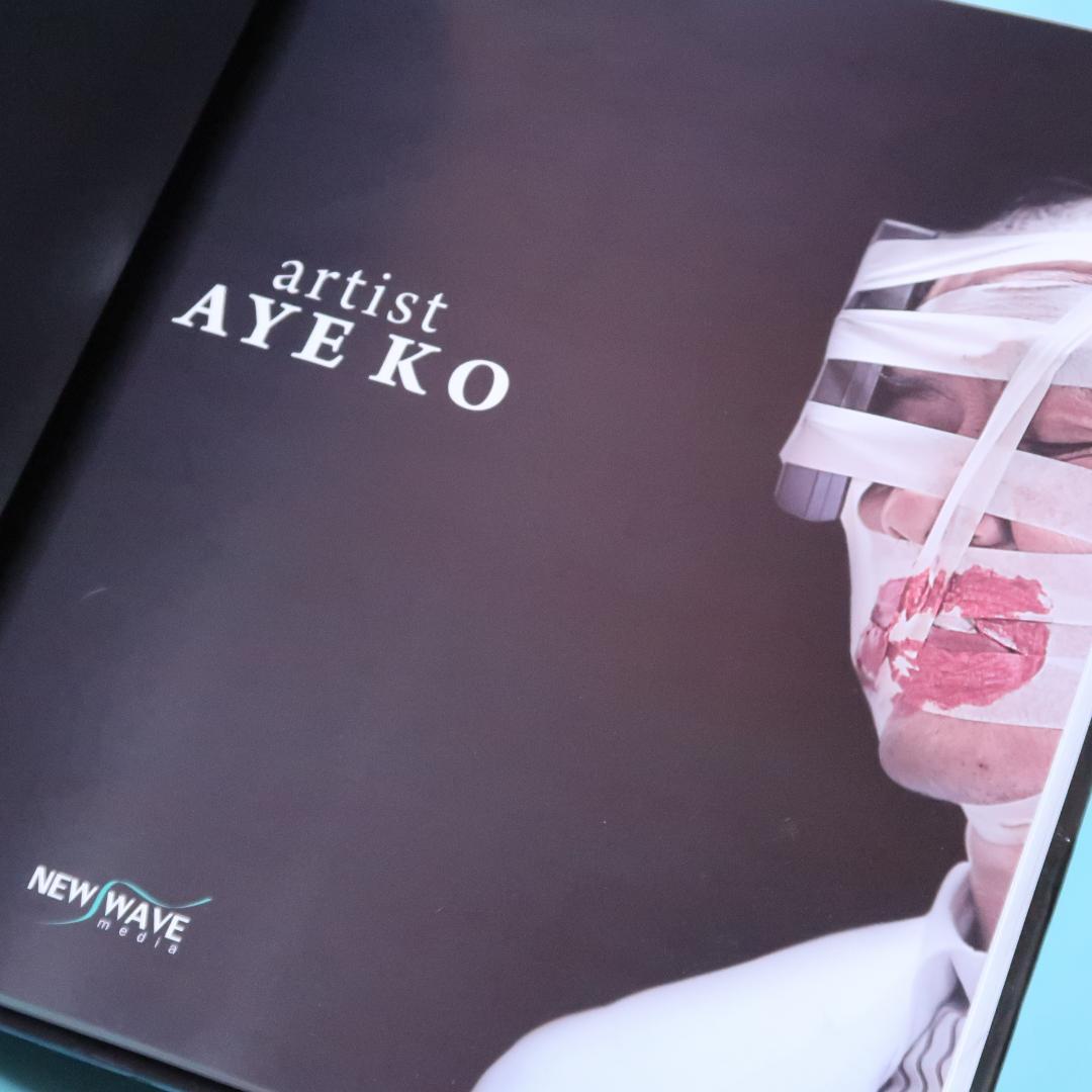 特別セール！洋書『artist AYE KO』エー・コー、ミャンマー、現代アート