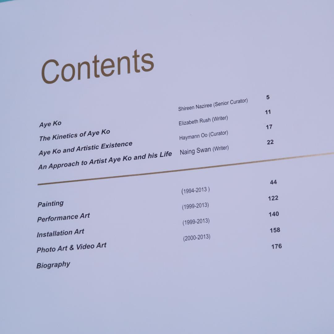 特別セール！洋書『artist AYE KO』エー・コー、ミャンマー、現代アート