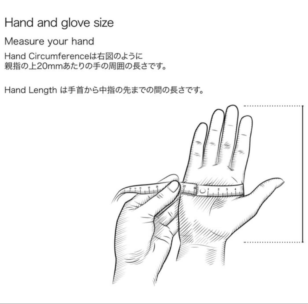 スキー・スノーボードアクセサリー Hestra Alpine Pro 3-Finger