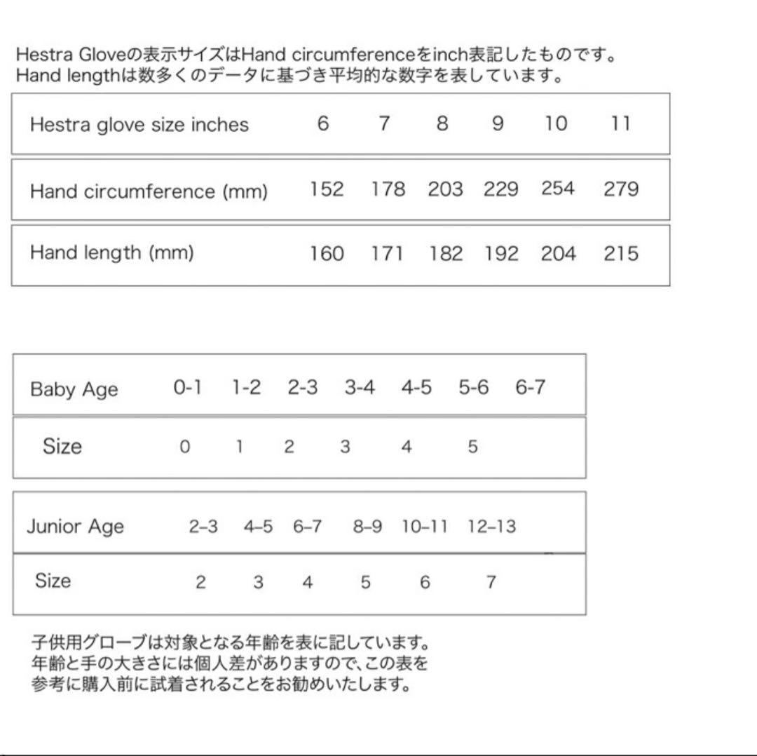 スキー・スノーボードアクセサリー Hestra Alpine Pro 3-Finger
