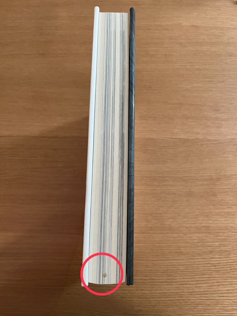 isamu noguchi a sculptor's world 洋書