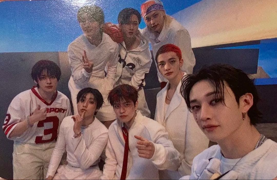 StrayKids KARMA TARGET VINYLレコードLP フライヤー