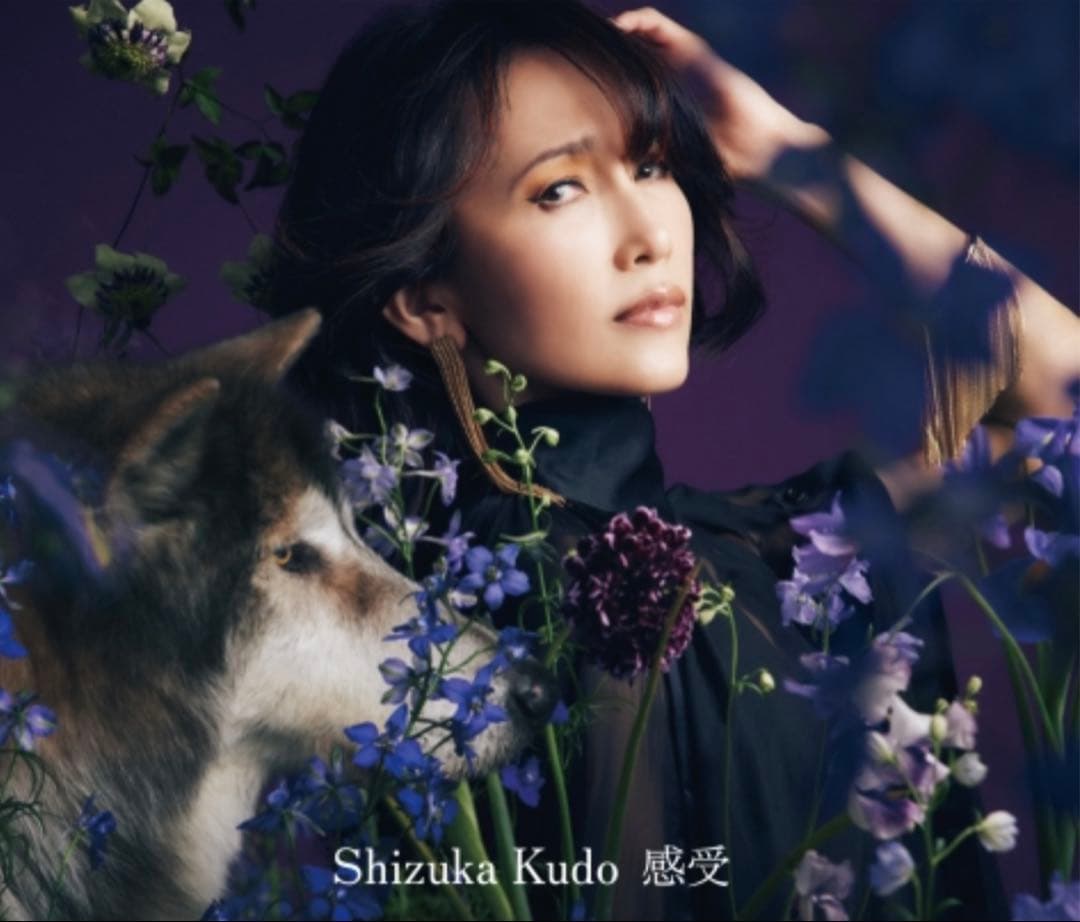 本日31日限定値下げ！工藤静香　感受　完全受注生産限定盤