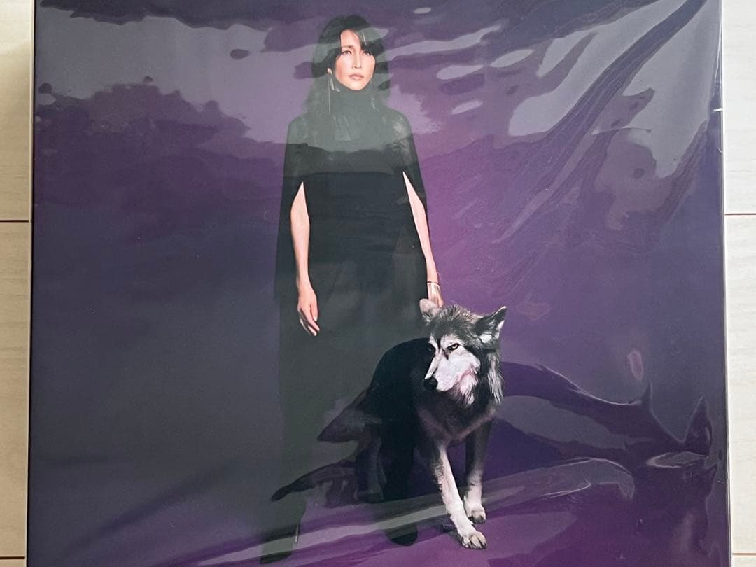 本日31日限定値下げ！工藤静香　感受　完全受注生産限定盤