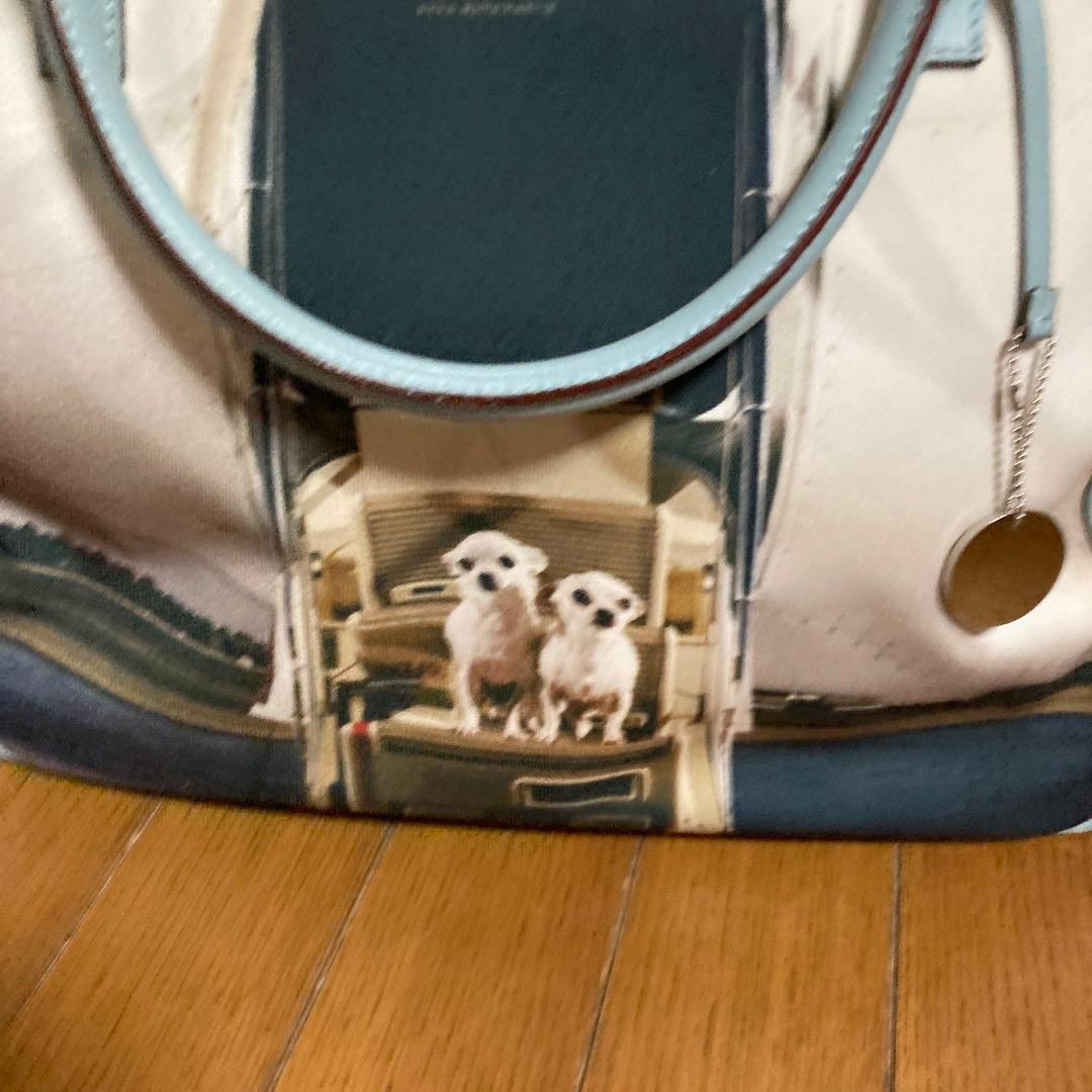 ANAY HINDMARCH.ポストン