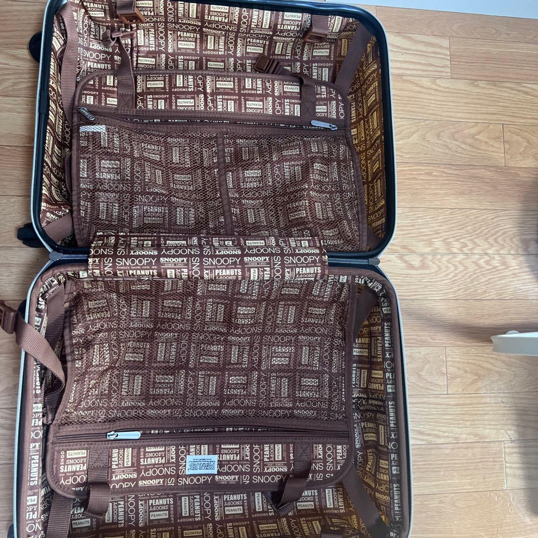 スヌーピー　ウッドストック　キャリーバッグ