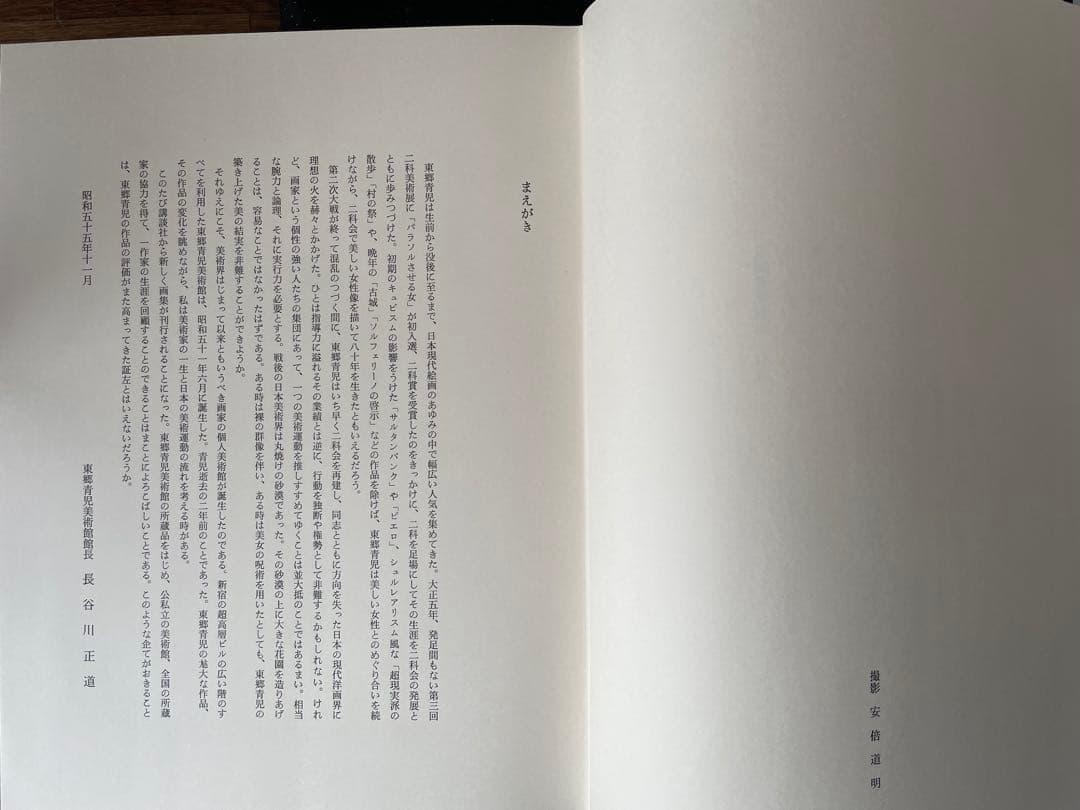 ゆ*ん様 東郷青児画集 作品1914〜1978 豪華本　希少本