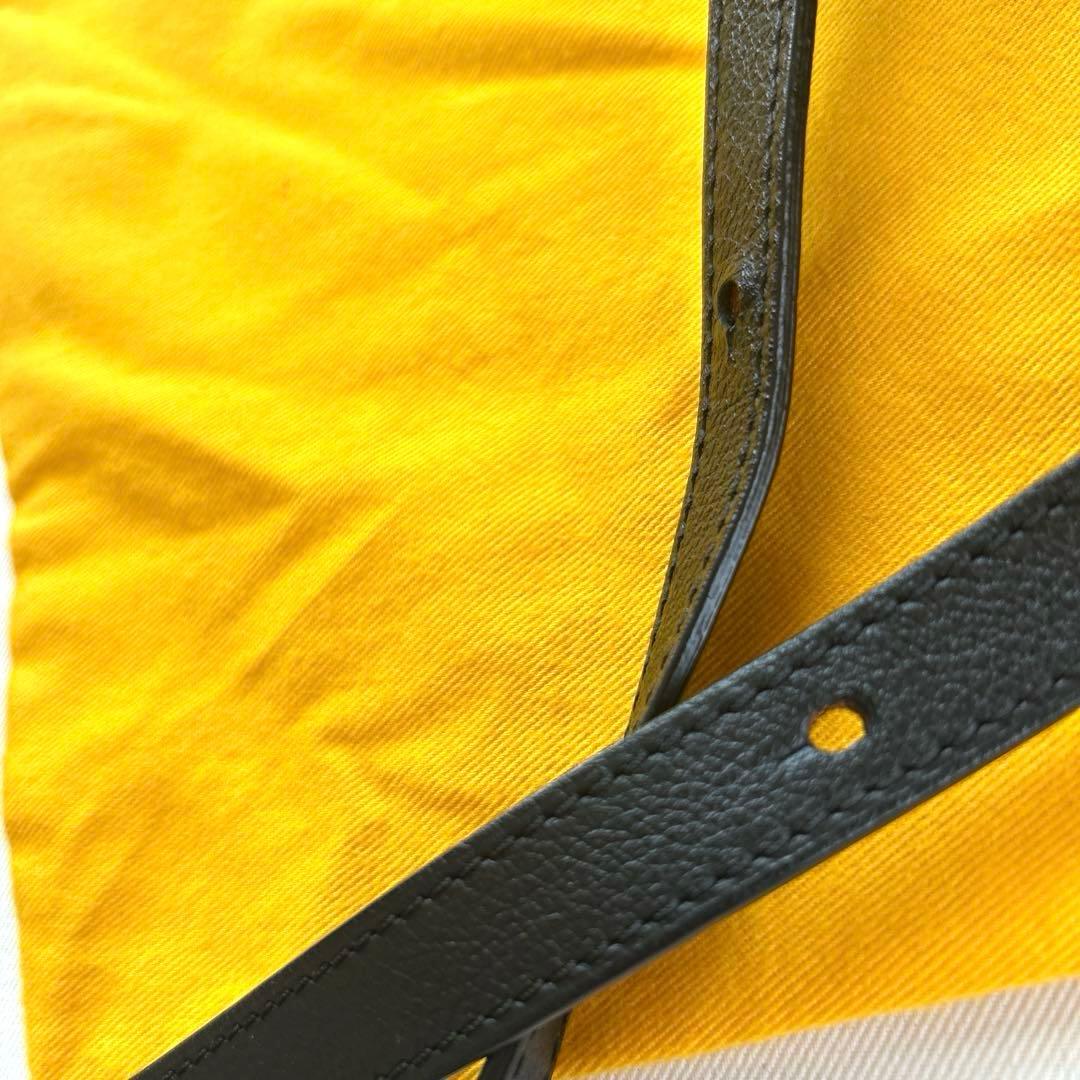 GOYARD ゴヤール　プティフロバケットバッグ　PM ブラック