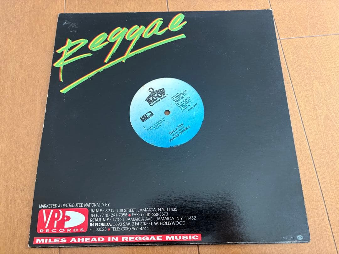 レゲエ　レコード まとめ売り　Garnett Silk 他　12インチ