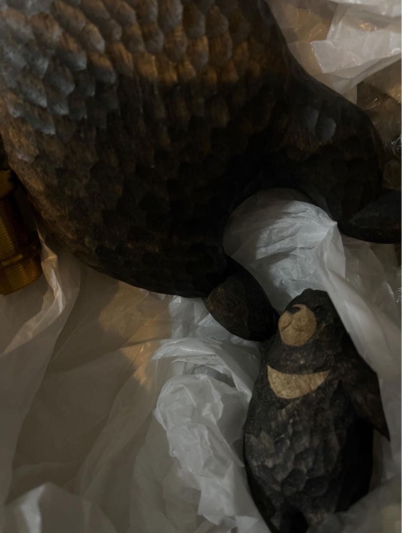 kiyata ランプ　ブラサガリクマ