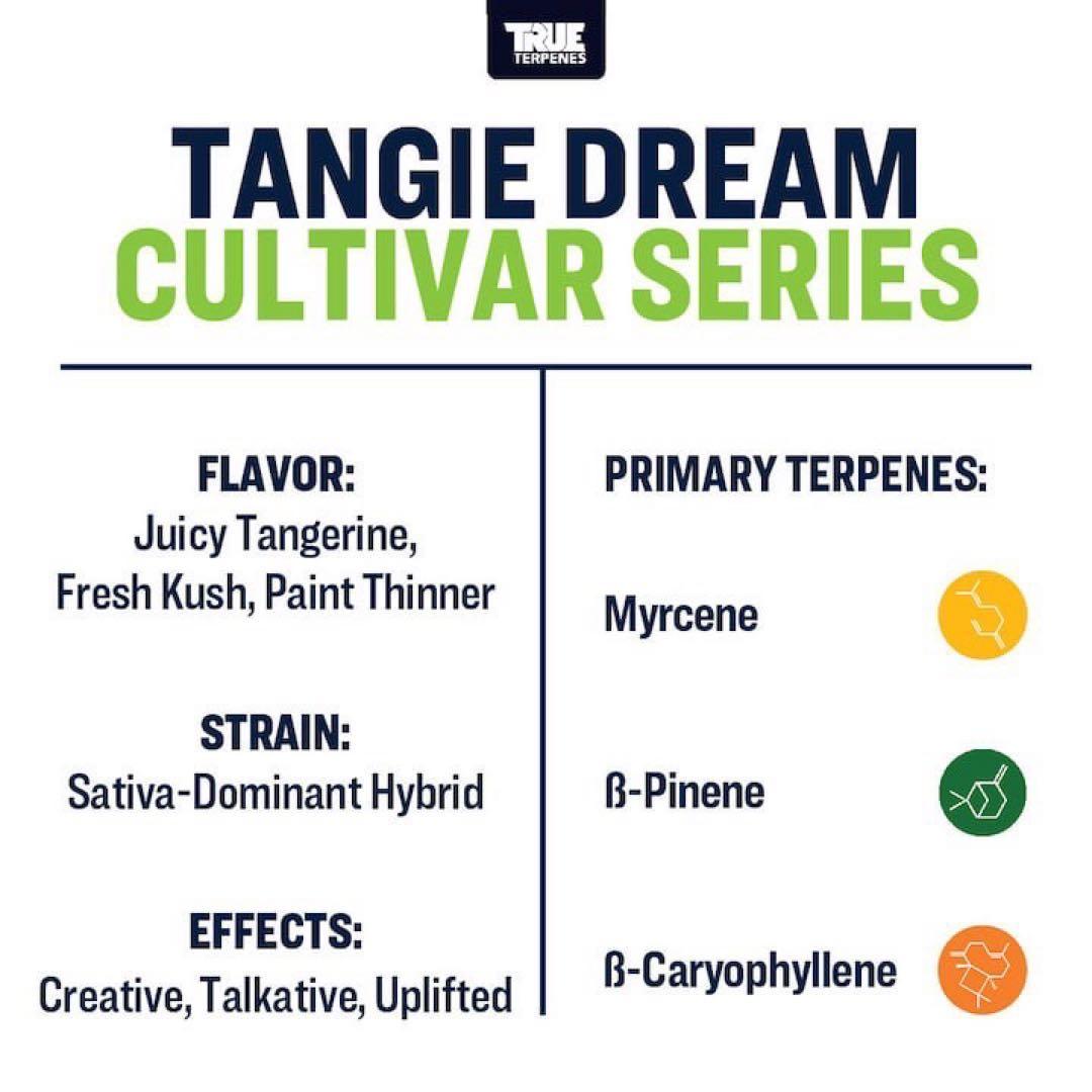 TRUE テルペン 香料 CBD CBN CBG 5ml タンジードリーム