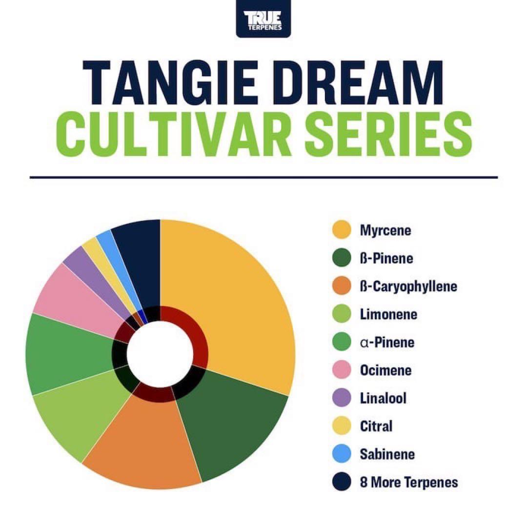 TRUE テルペン 香料 CBD CBN CBG 5ml タンジードリーム