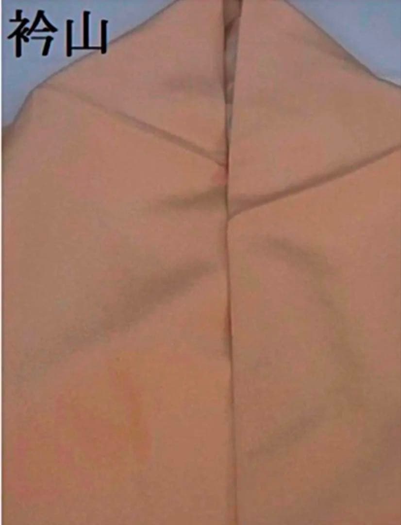 豪華振袖　友禅　花車文　正絹　逸品