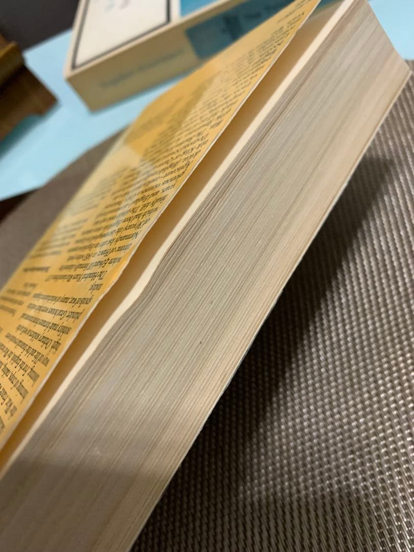 希少　The Hundred Years War Desmond Seward