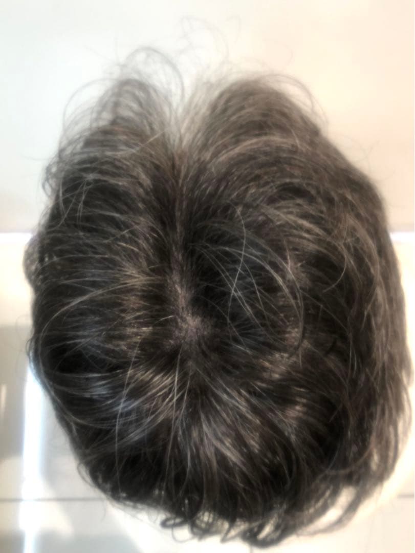 NAO-ART グレー ショートウィッグ