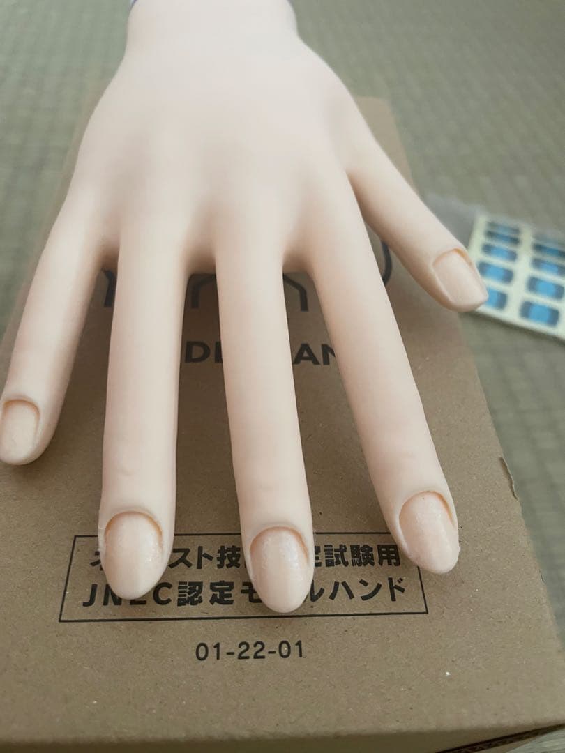 認定モデルハンド　ネイリスト検定　チップ・両面テープ・キューティクルシールセット