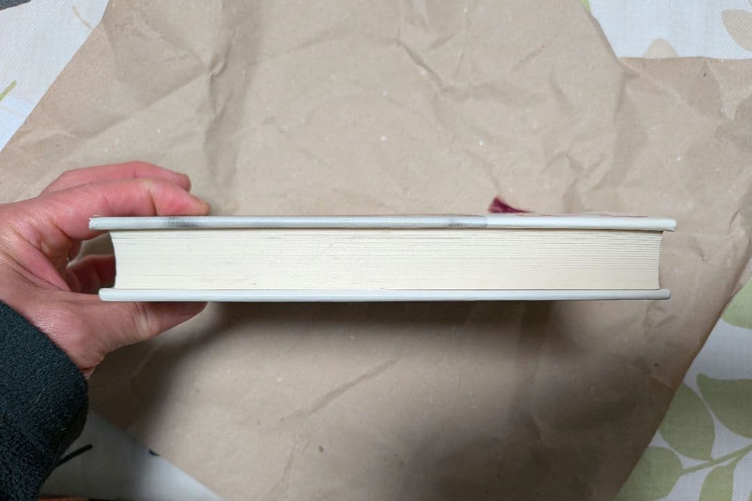 円の支配者 誰が日本経済を崩壊させたのか　リチャード A ヴェルナー