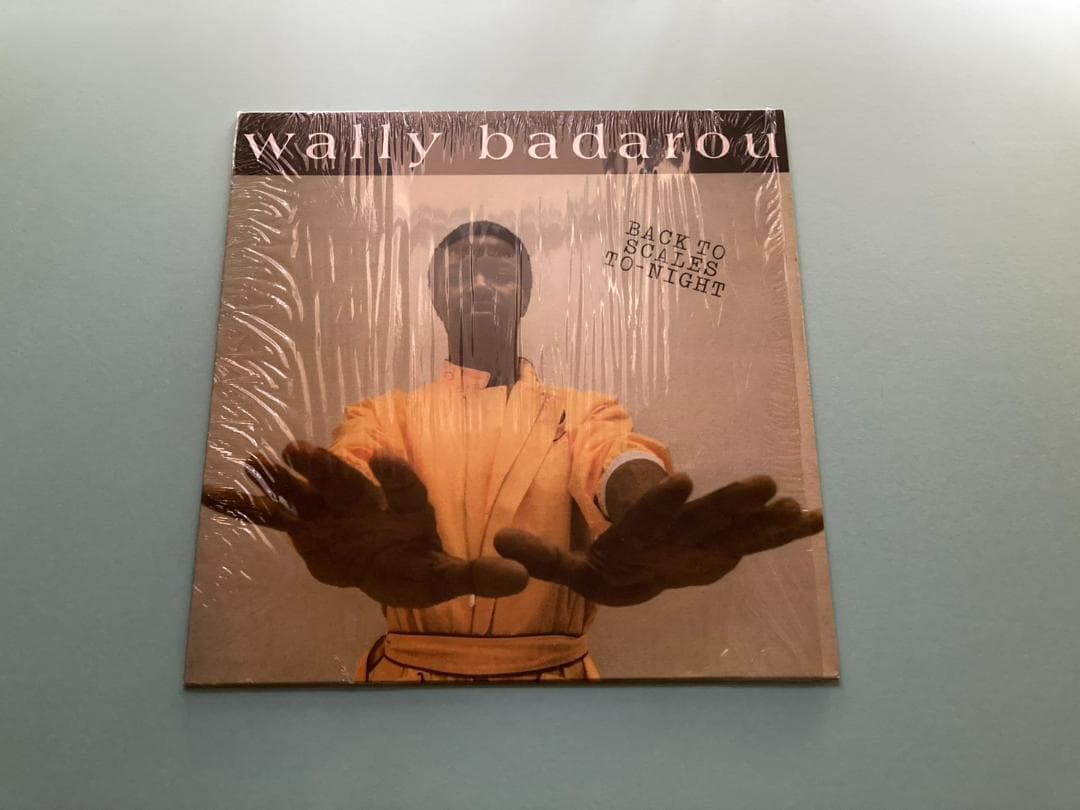 【美品LP】Wally Badarouのレアグルーヴ/モダン・ブギー傑作アルバム