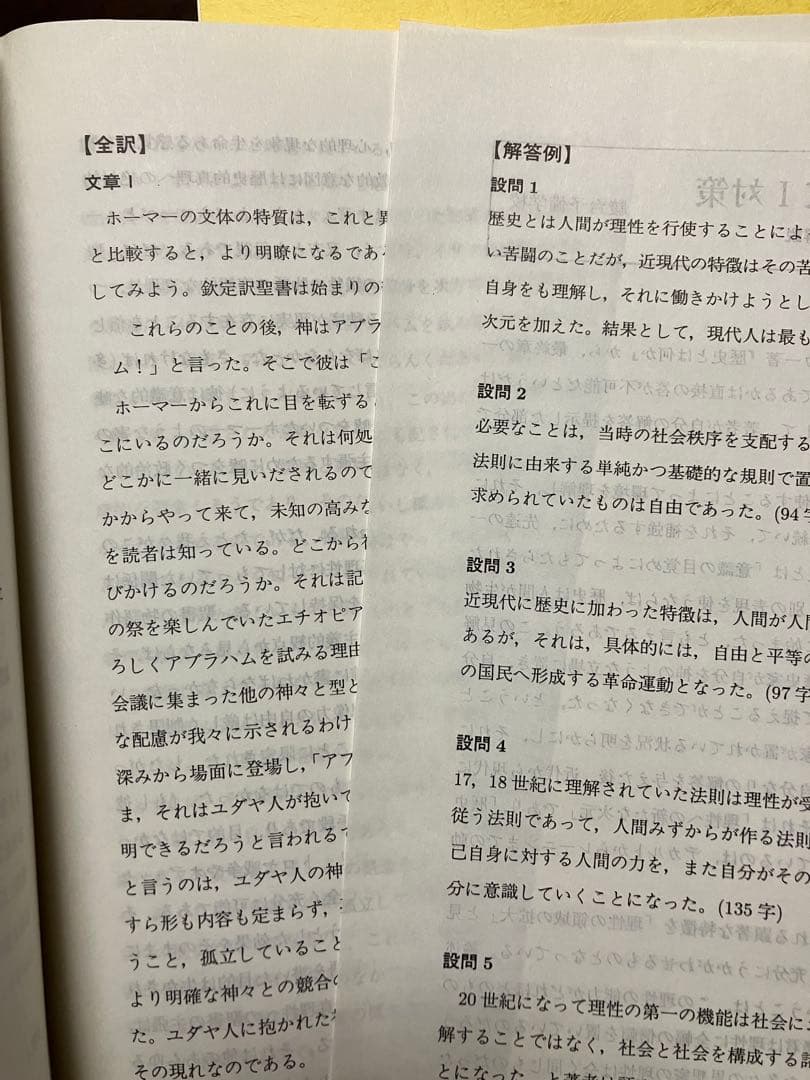 駿台予備校 テキスト 東大後期論文Ⅰ対策問題 全2回分授業プリント完備