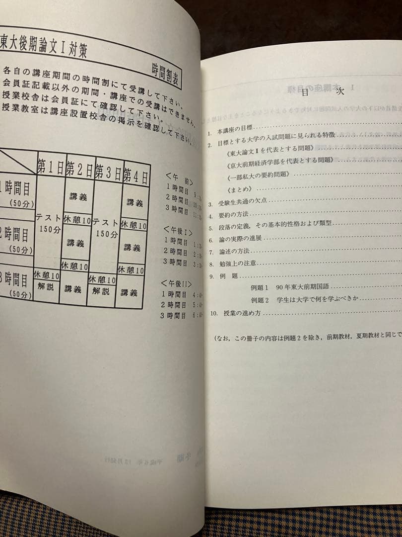 駿台予備校 テキスト 東大後期論文Ⅰ対策問題 全2回分授業プリント完備