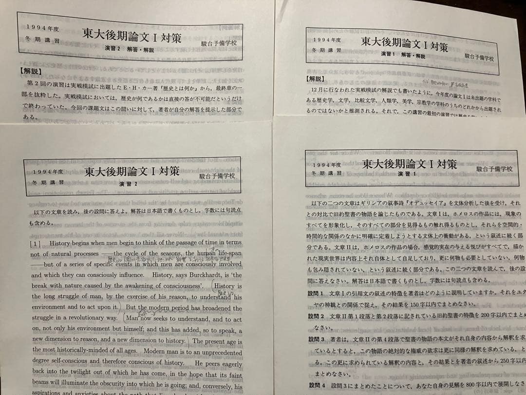 駿台予備校 テキスト 東大後期論文Ⅰ対策問題 全2回分授業プリント完備