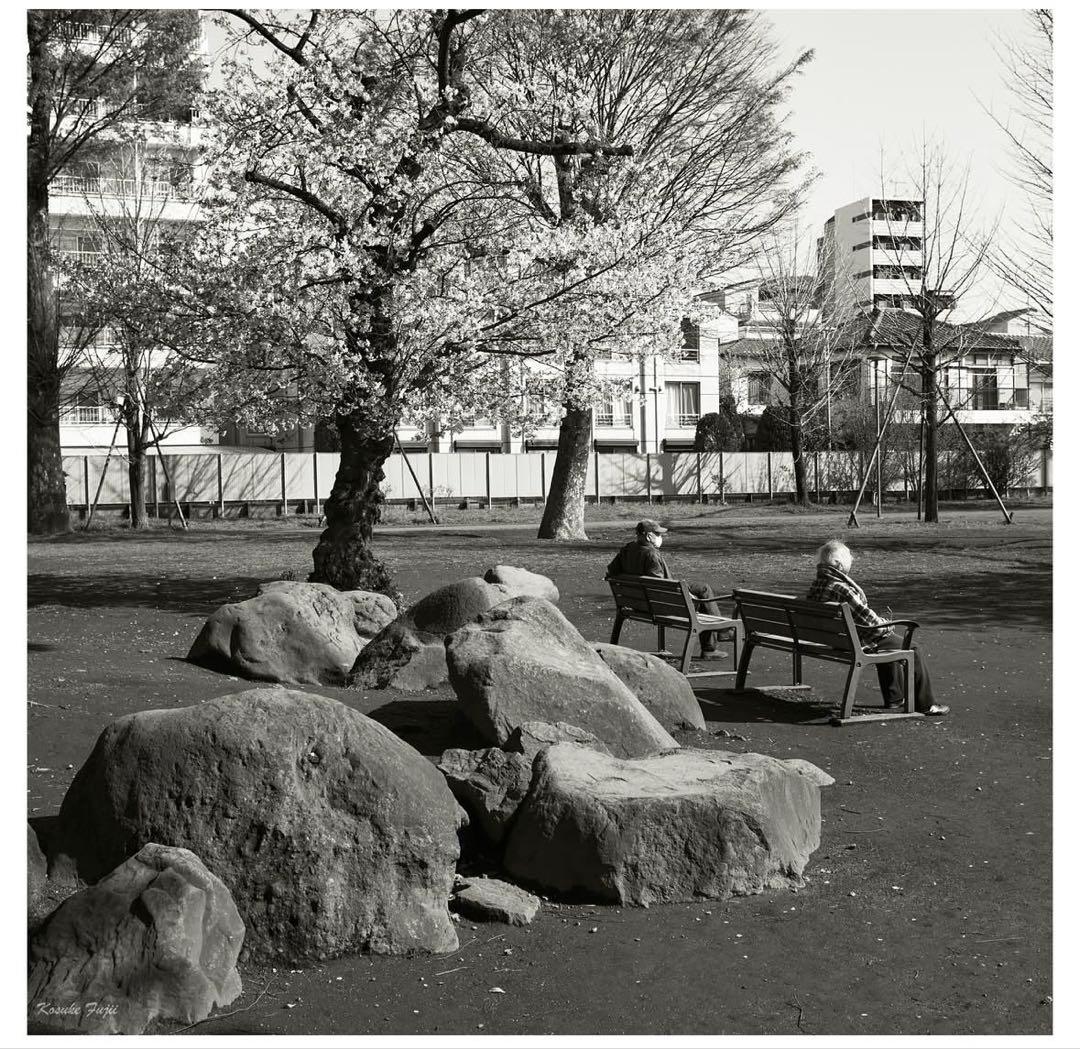 Leica Summicron 35mm f/2 6枚玉