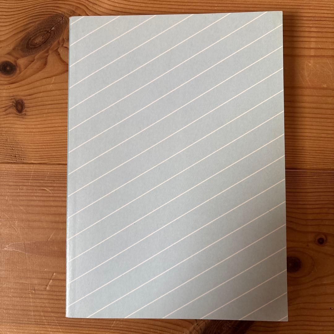 s*a様 【レア品】社会科個別指導入門 山崎林平