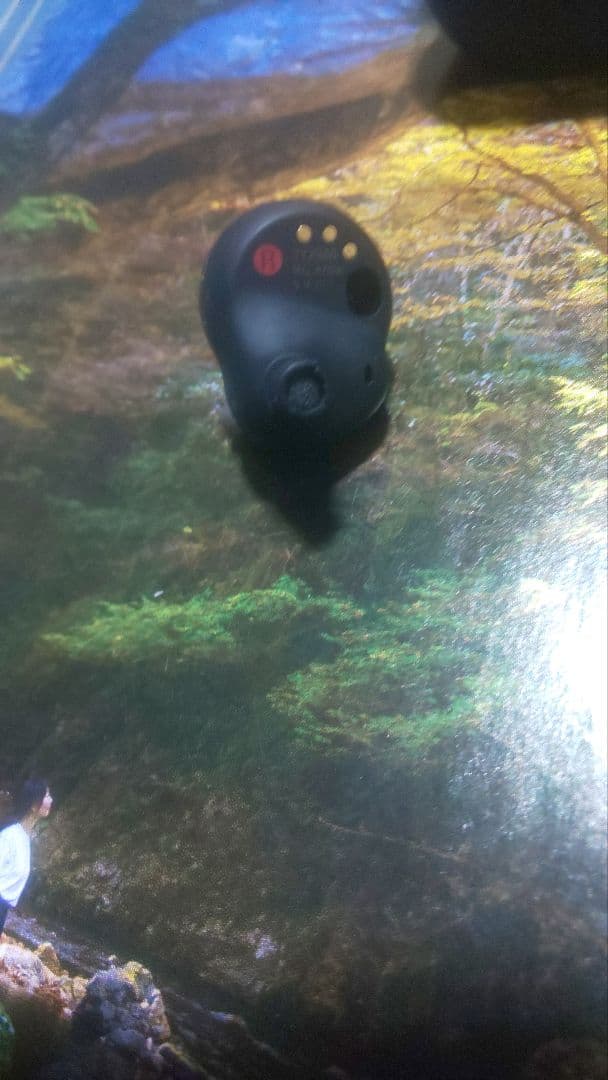 週末限定価格　ケース イヤホン両方バッテリー新品交換　wf-1000xm4おまけ