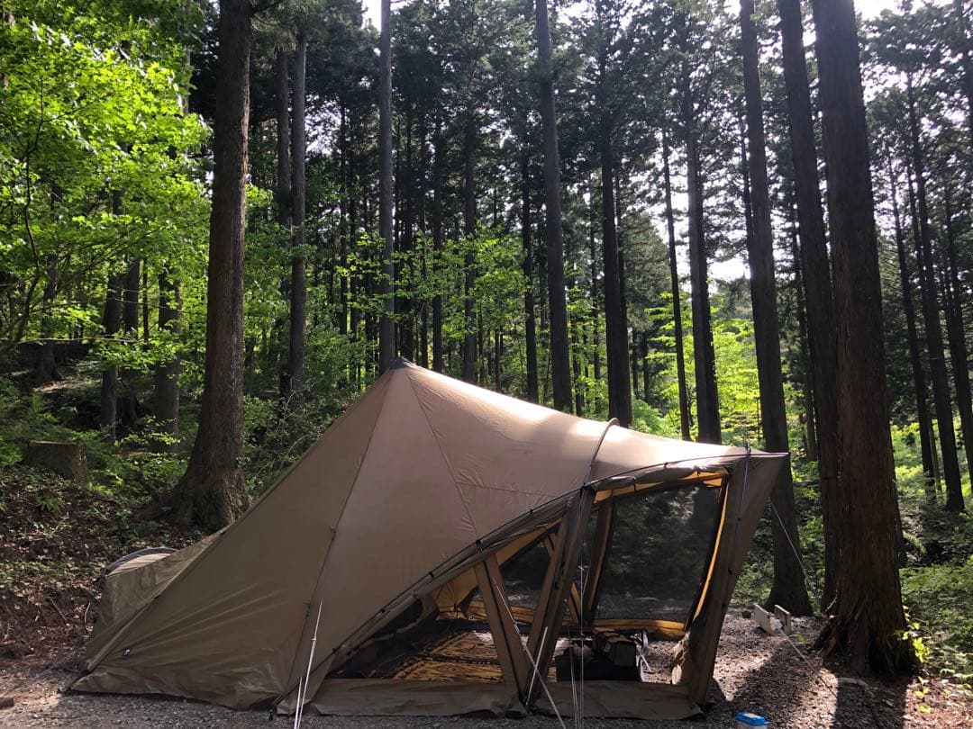 ゼインアーツ　LOLO ロロ　ZANE ARTS