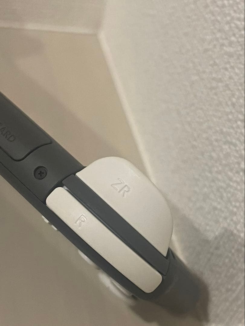 ［即日配送］switch lite 本体