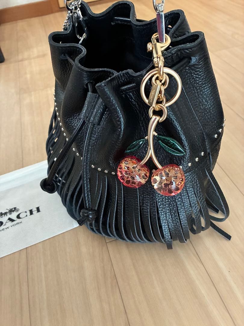 【新品】コーチ　さくらんぼ　キーホルダー　チェリー　バッグチャーム