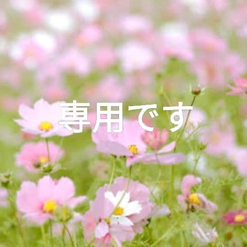 KOALAさま専用【ヴィンテージ感漂うヌメ革】3つ折り財布　本革　バイソン刻印