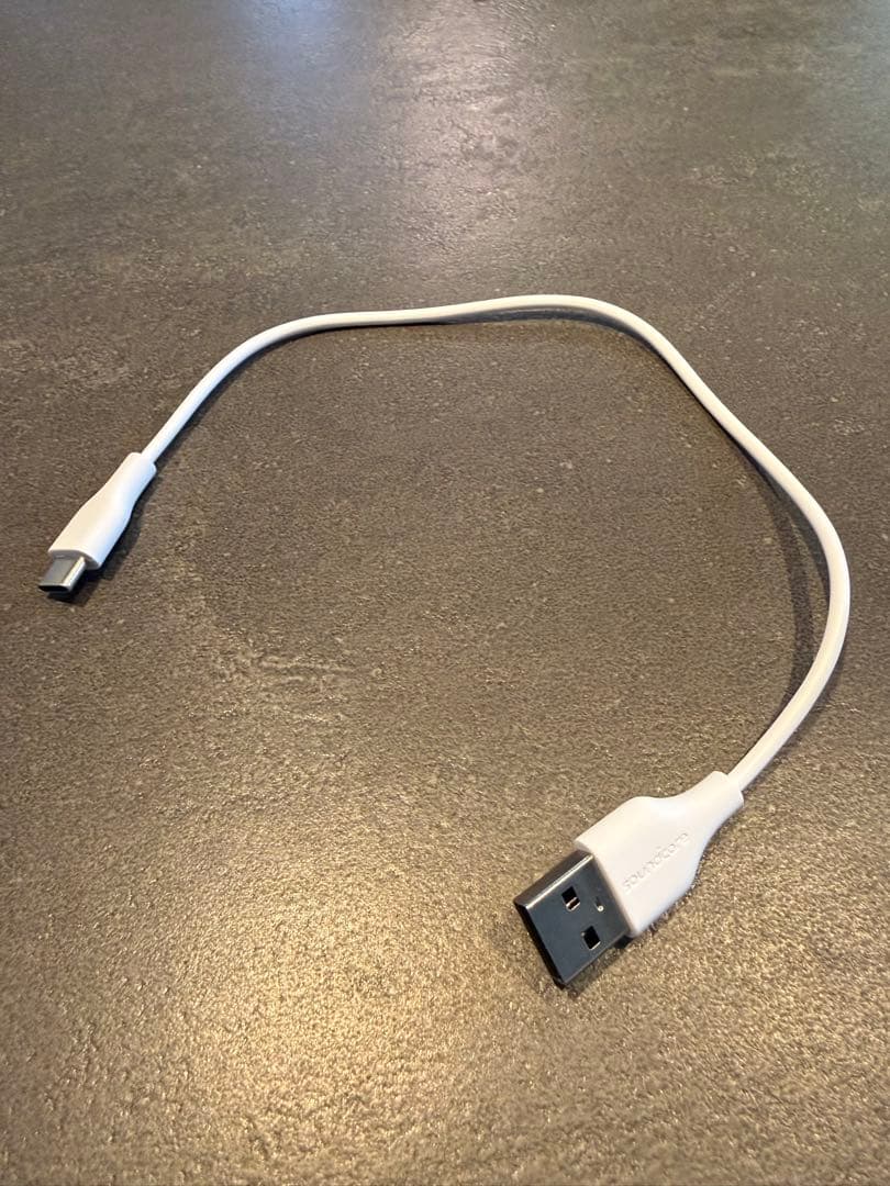 Anker Soundcore Sleep A20 （ワイヤレスイヤホン）