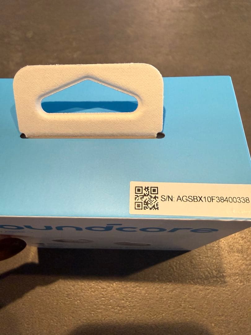 Anker Soundcore Sleep A20 （ワイヤレスイヤホン）