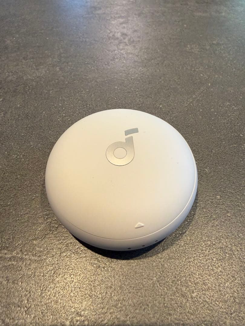 Anker Soundcore Sleep A20 （ワイヤレスイヤホン）